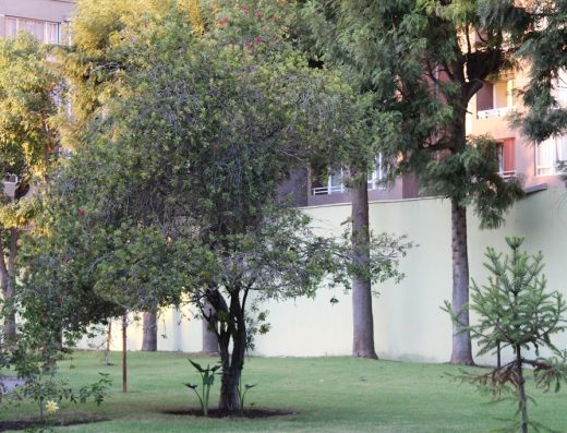 Hogar de ancianos hermanitas de los pobres