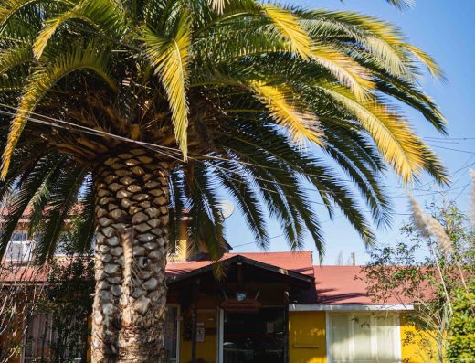 Hogar de Adulto Mayor Santa Teresa de Tango